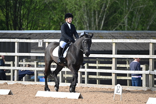 Dressage