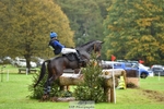 324-HAZZLE.DAZZLE-Henry.Hobby-XC portfolio