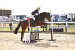 SBM_001569