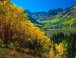 Istock #13920003