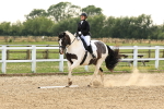 SBM_001060