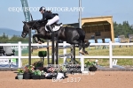 BPP_1317