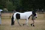 WJ6_7835