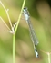 20080623- 025