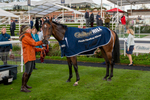 111024-Race 3-Minstrel Knight-7152