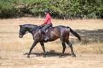WJ7_8608