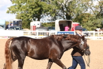 SBM_13847