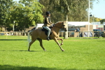 SBM_37476