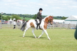 SBM_17598