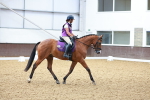SBM_009040