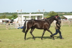 SBM_10366