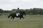 BVHT 140517 -247