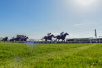 080426-Race 4-Evocative Spark-0030
