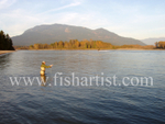 Salmon Fishing.