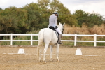 SBM_006564