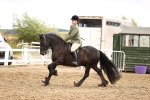 SBM_00598