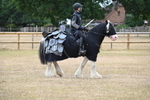 WJ6_8835