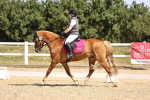 SBM_010393