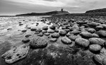 Boulders at Dunstanburgh (4)