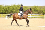 SBM_007933