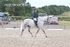 BPP_8015