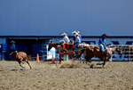 3HRodeo8-11-25_PRCASteer_01744_