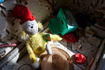 Rockland State Hospital (Orangeburg, NY) | Sr. Seuss Toy
