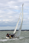 141025 ALCYONE WT7A8581