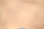 250621-090742-06964