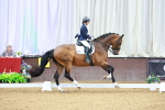 SBM_002874