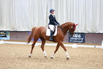 SBM_000431