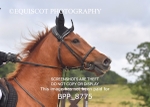 BPP_8775