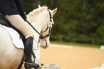 British Dressage Wednesday 26th April = Click to View Photos portfolio