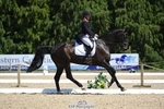 Rider 480 to 489 portfolio