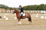 SBM_001333