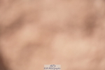 240505A-172028-07326
