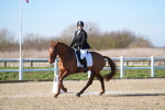 SBM_003362