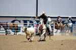 3HRodeo8-11-25_PRCASteer_04608_
