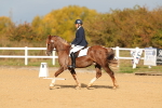 SBM_009278