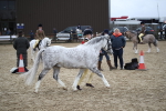 SBM_005967