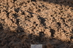 231015A-093144-06735