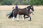 WJ6_6367