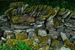 DSC01880
