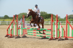 SBM_012334