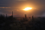Saguaro National Sunset