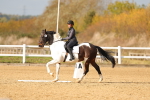 SBM_001710