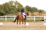 SBM_004723