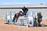 BPP_2028