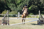 Class 5: Working Hunter 90cm portfolio