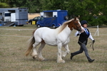 WJ6_6531